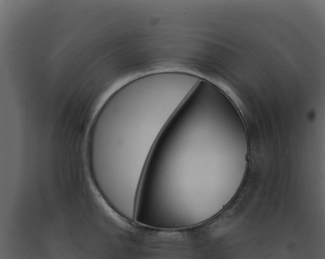 X0000091731142200708241038