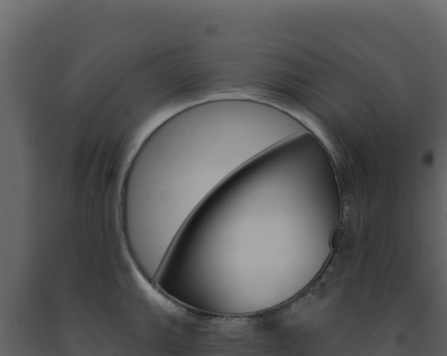 X0000091731143200708241038