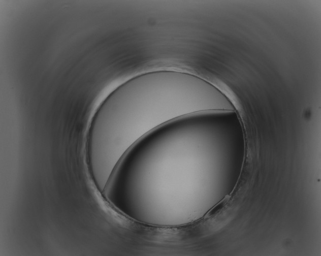 X0000091731144200708241038
