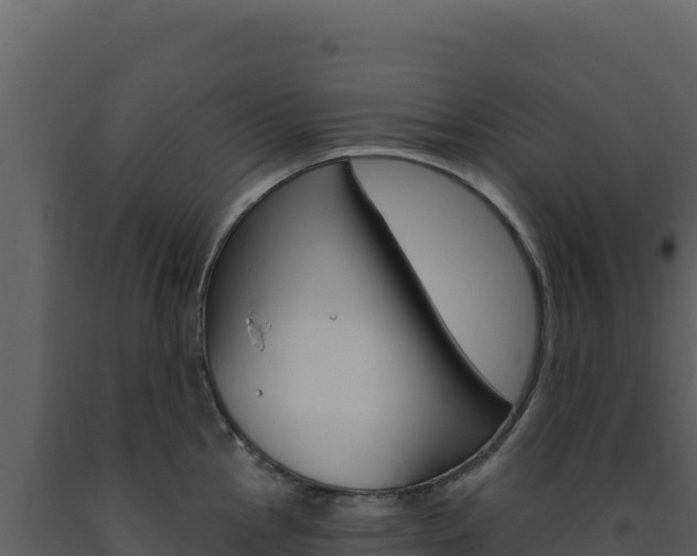 X0000091731145200708241038