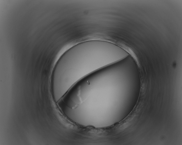X0000091731146200708241038