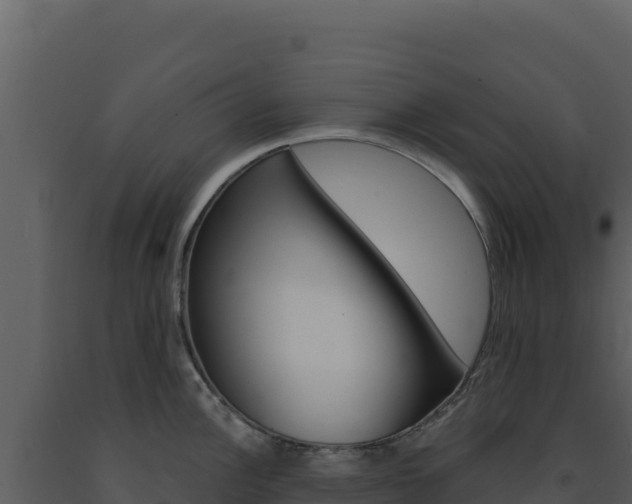 X0000091731148200708241038