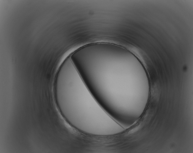 X0000091731149200708241038