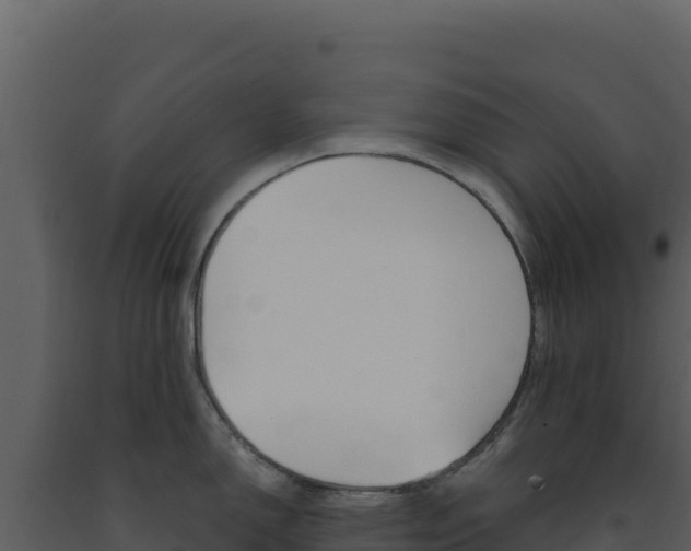 X0000091731150200708241038