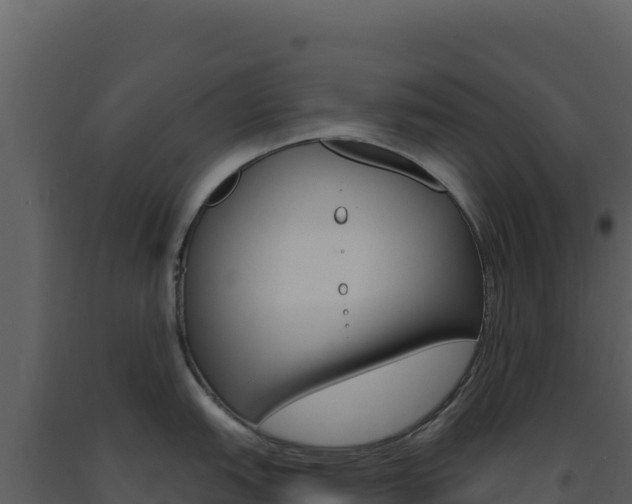 X0000091731151200708241038