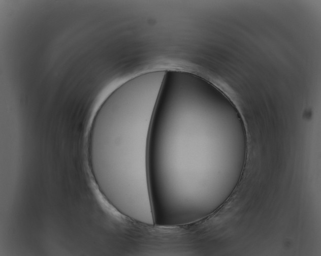 X0000091731152200708241038