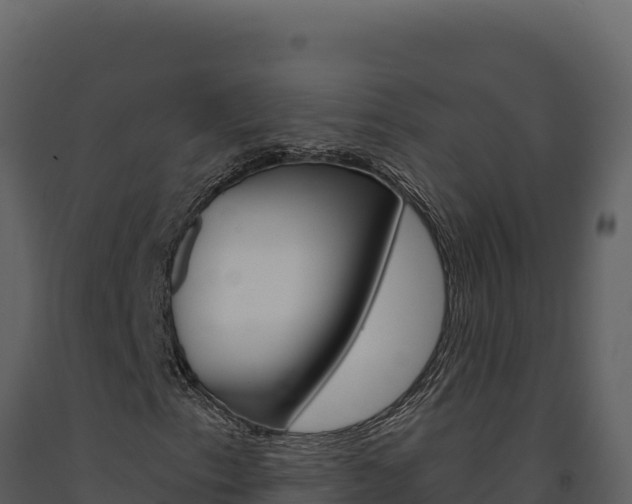 X0000091731153200708241037