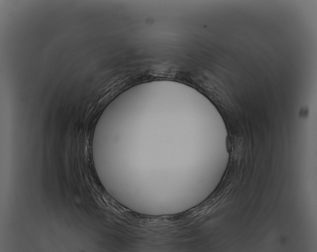 X0000091731154200708241037