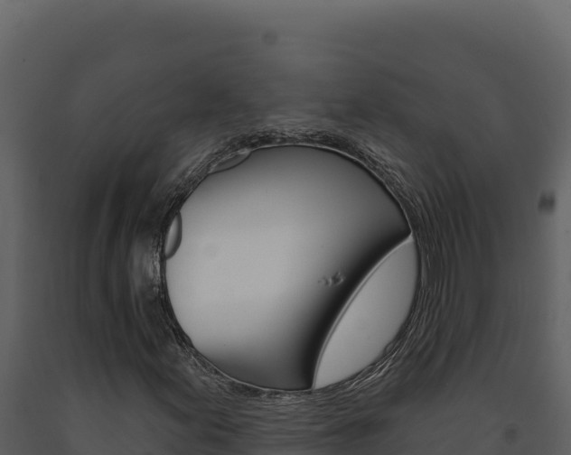 X0000091731155200708241037