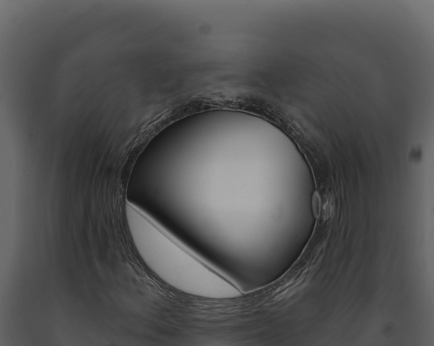 X0000091731156200708241037
