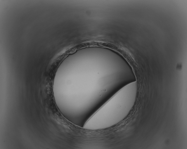 X0000091731159200708241037