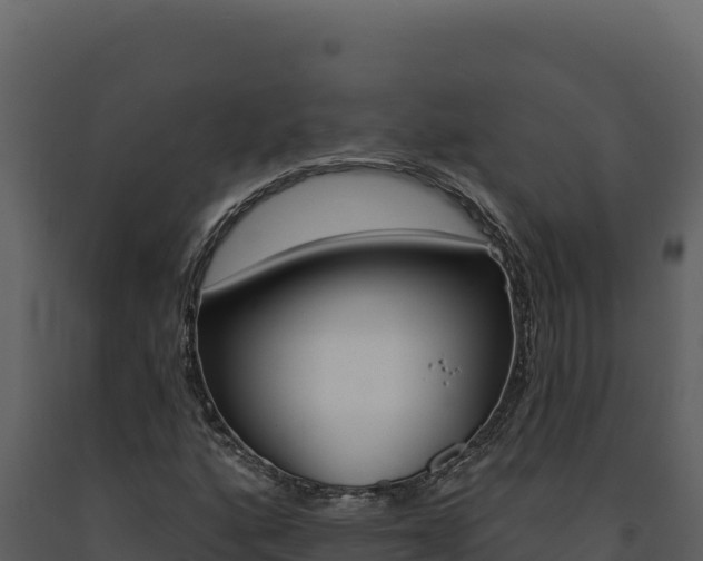 X0000091731160200708241037