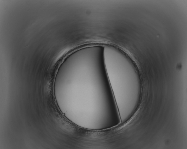 X0000091731163200708241037