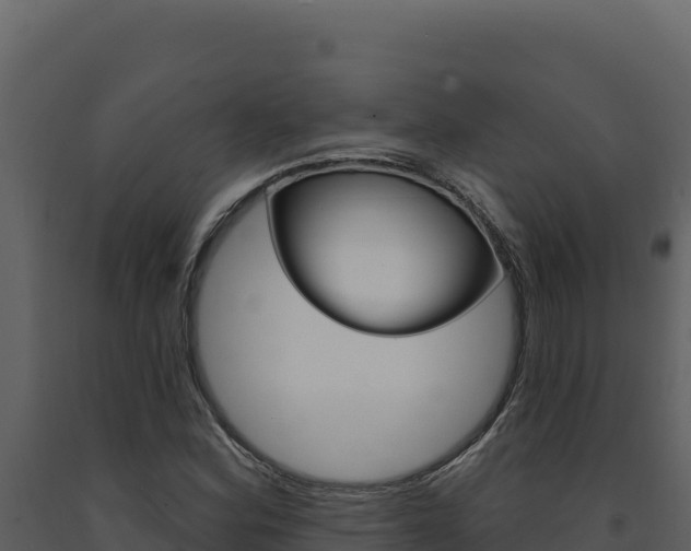 X0000091731164200708241037