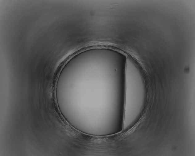 X0000091731165200708241037