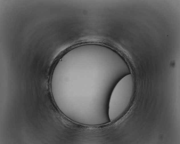 X0000091731166200708241037