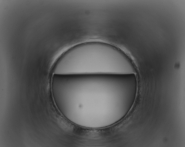 X0000091731167200708241037