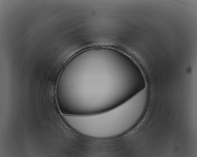 X0000091731169200708241037