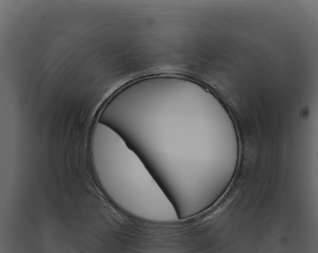 X0000091731170200708241037