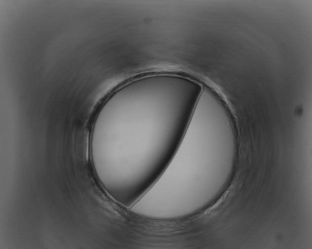 X0000091731171200708241037