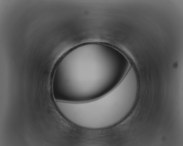 X0000091731173200708241037