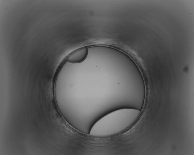X0000091731174200708241037