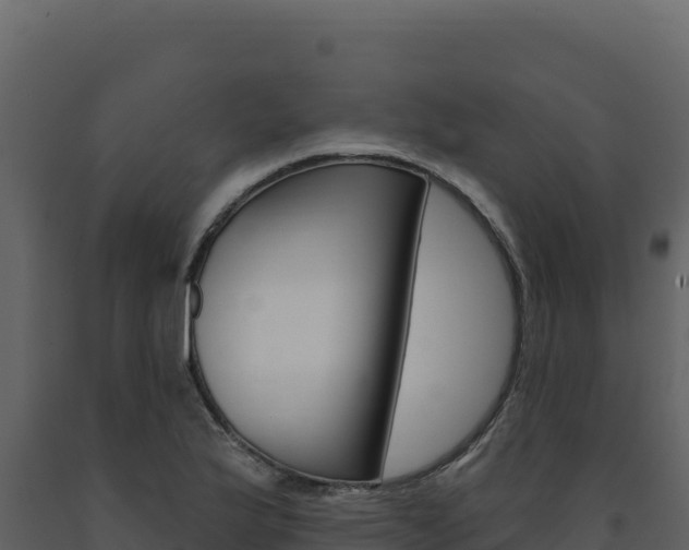 X0000091731175200708241037