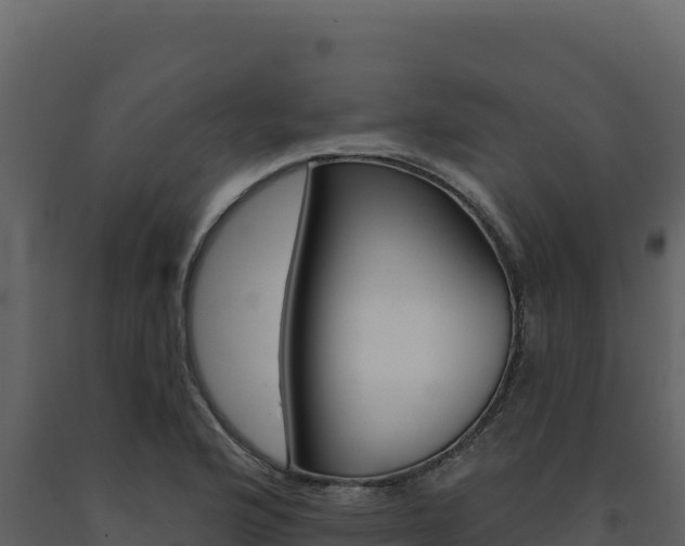 X0000091731176200708241037