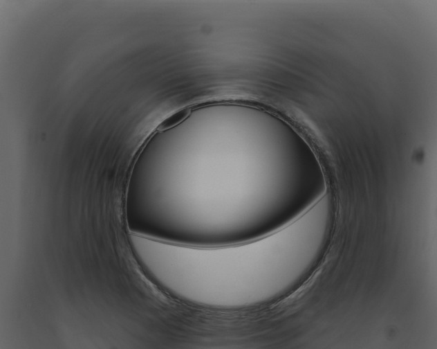 X0000091731177200708241037