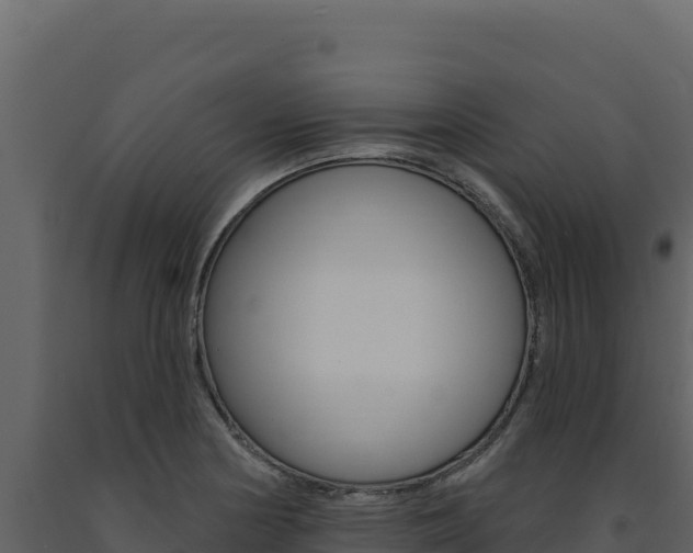X0000091731178200708241037