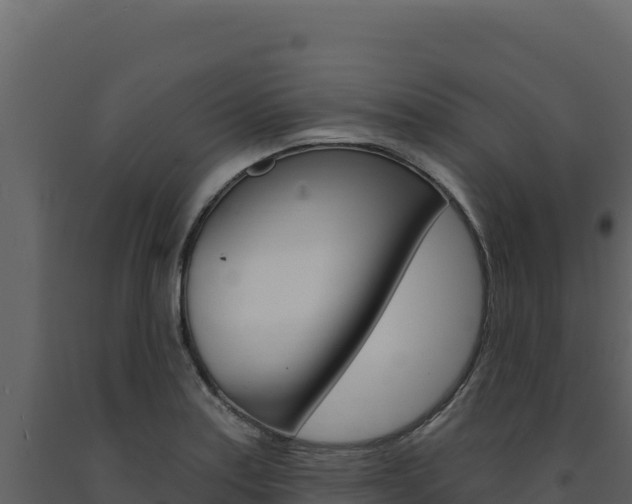 X0000091731179200708241037