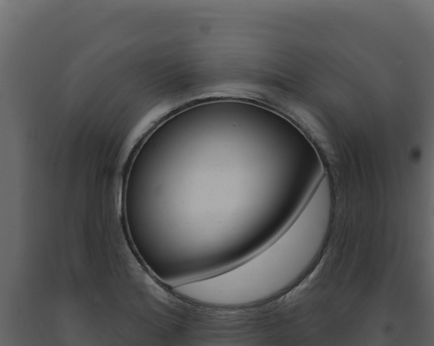 X0000091731180200708241037