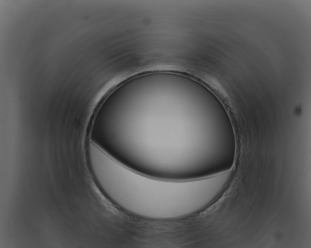 X0000091731181200708241037