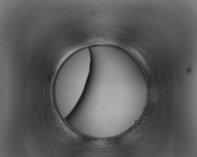 X0000091731182200708241037