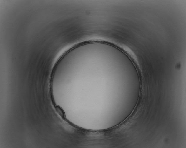 X0000091731183200708241037