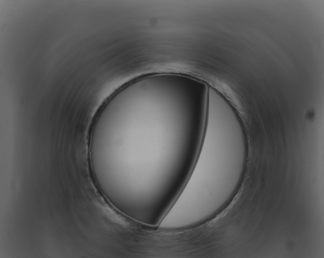 X0000091731184200708241037