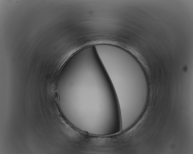 X0000091731185200708241036
