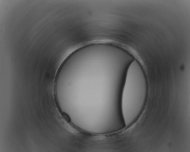 X0000091731186200708241036