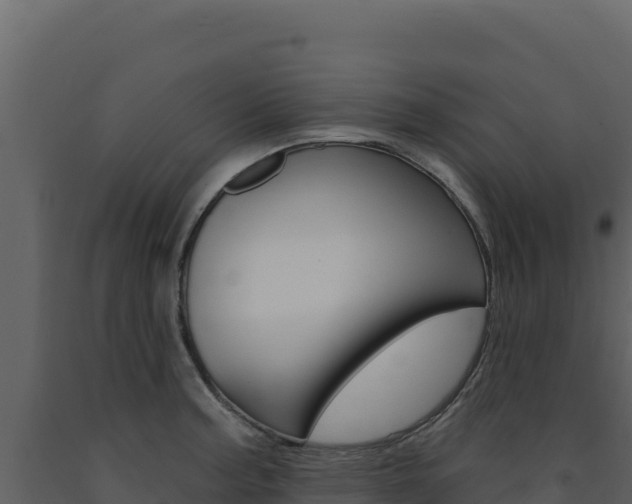 X0000091731187200708241036