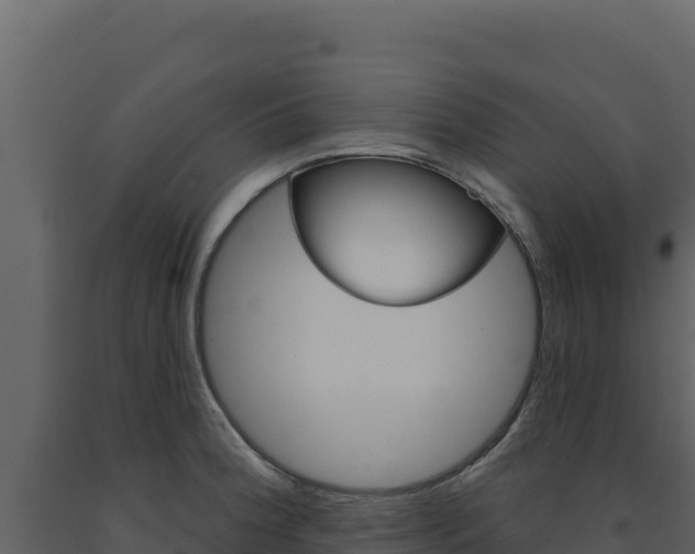 X0000091731188200708241036