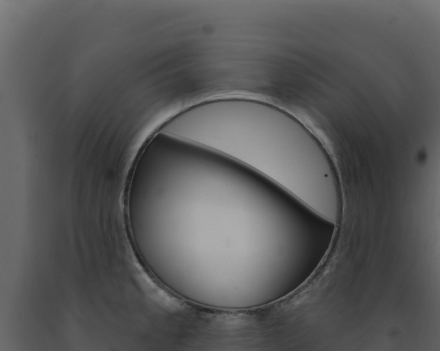 X0000091731189200708241036