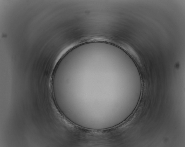 X0000091731190200708241036