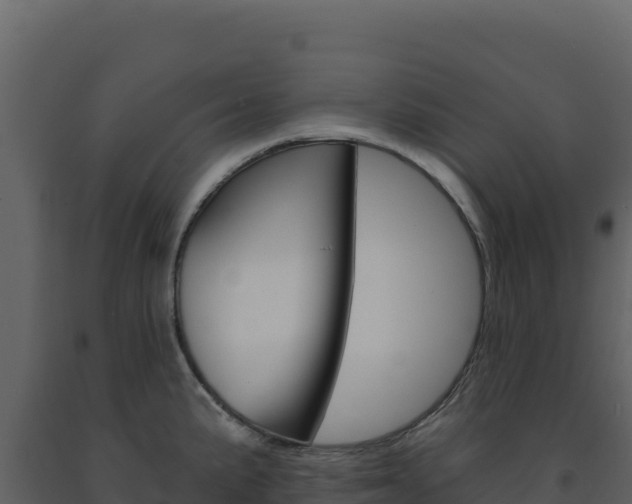 X0000091731191200708241036