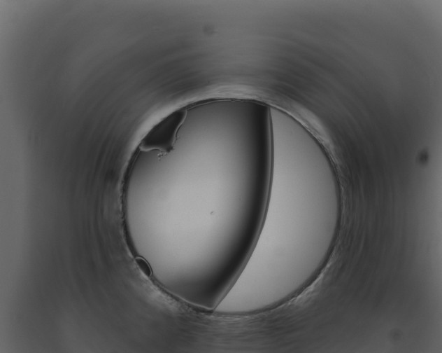 X0000091731192200708241036