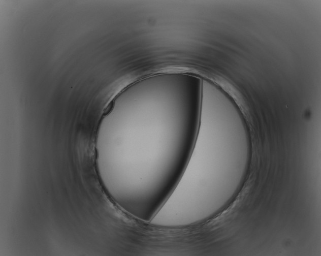 X0000091731193200708241036