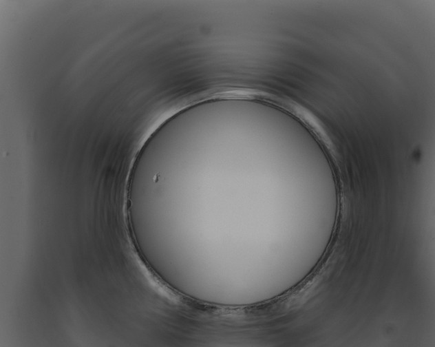 X0000091731194200708241036