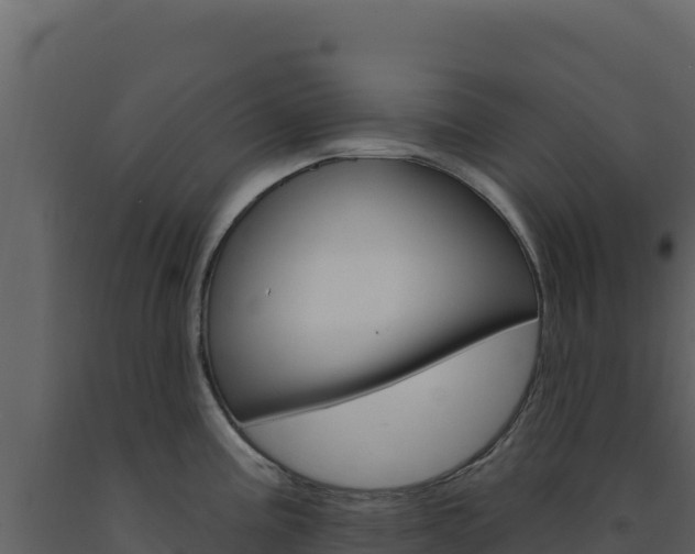 X0000091731195200708241036