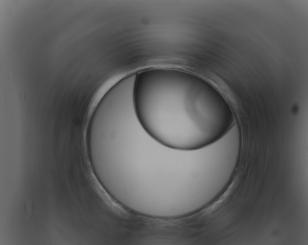 X0000091731196200708241036
