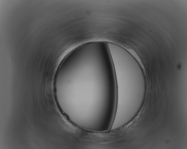X0000091731197200708241036