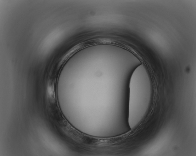 X0000091731198200708241036